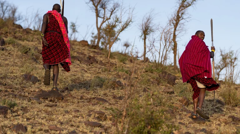 Tanzania Project